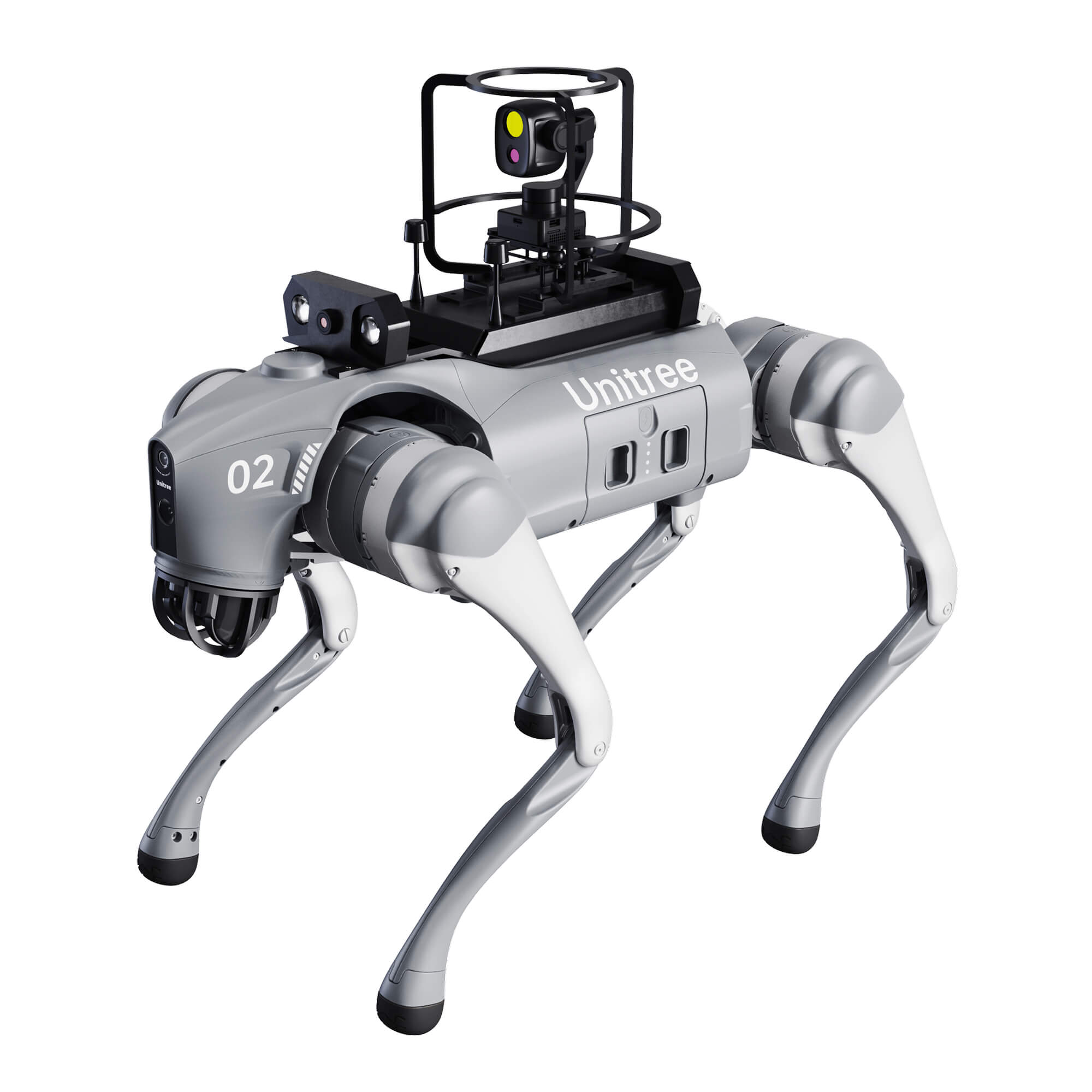 Unitree Go2 con telecomando con schermo (doppia telecamera + gimbal dual-light)